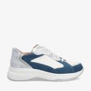 Blauw