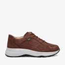 Bruin
