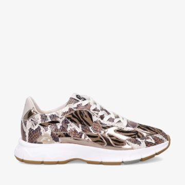 Floris van Bommel DAYSI SFW-10167 20-01