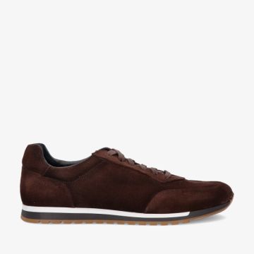 Magnanni 26464 MARRON