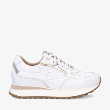 Footnotes ESMEE 31.002 1120