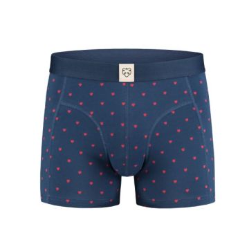 A-dam Valentijn MUBB0162 Blue wing teal