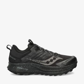 Saucony RIDE TR2 GTX S10953 14