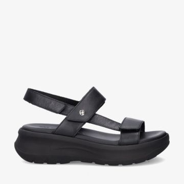 Panama Jack NOOR B1 BLACK