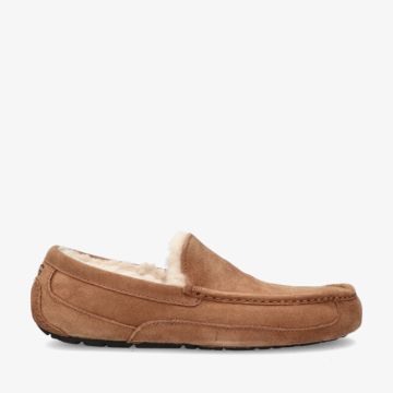 UGG ASCOT M 1101110 CHE