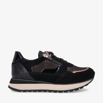 Footnotes ELKE 32.009 2910