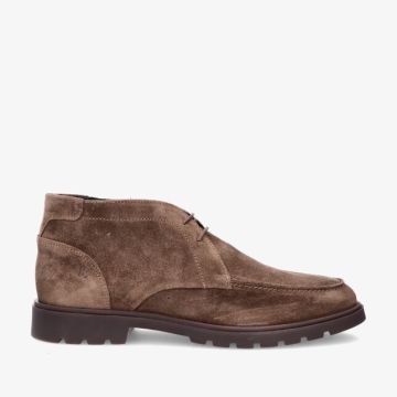 Berkelmans BARRO 2620085 347