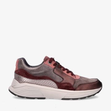 Xsensible GOLDEN GATE 33000.2 748