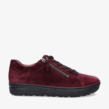 Hartjes PHIL 162.1401/30 86.00