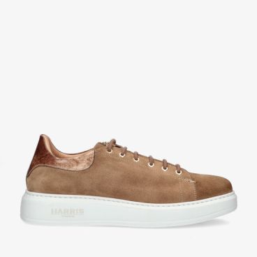 Harris PAUL/22 ARDESIA