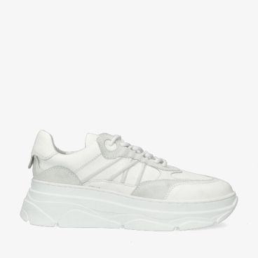 Posh LPJANA 05POE