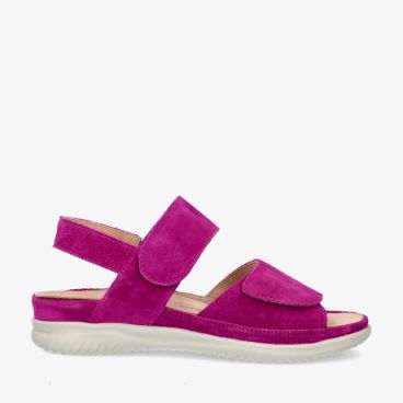 Hartjes 132.1137/30 29.00