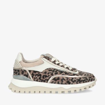 Floris van Bommel GROMMI SFW-10131 34-01