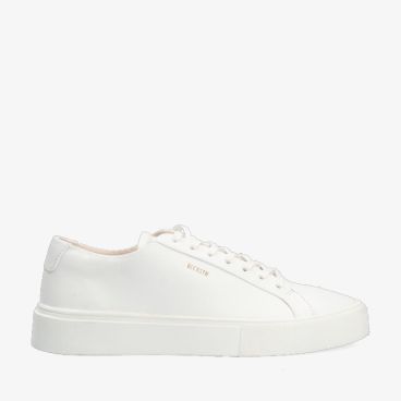 Blackstone DL260 WHITE