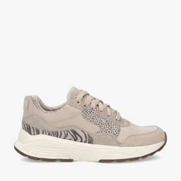 Xsensible GOLDEN GATE 33000.2 446