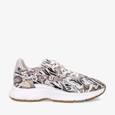 Floris van Bommel DAYSI SFW-10167 19-01