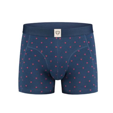 A-dam Valentijn MUBB0162 Blue wing teal