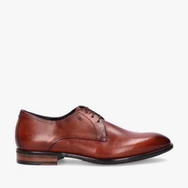 Floris van Bommel TERRA SBM-30165 24-01