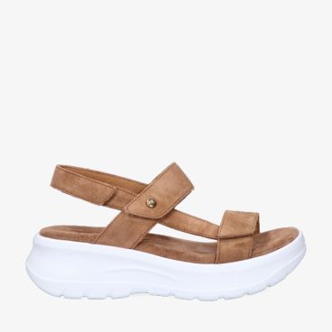 Panama Jack NOOR B5 BARK