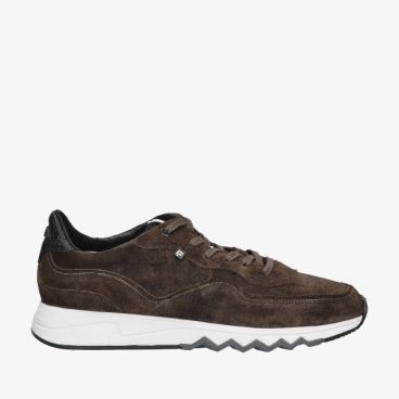 Floris van Bommel NINETI SFM-10091 51-01