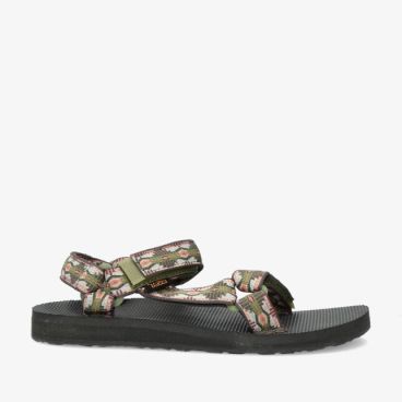 Teva 1003987