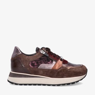 Footnotes ELKE 32.009 2541