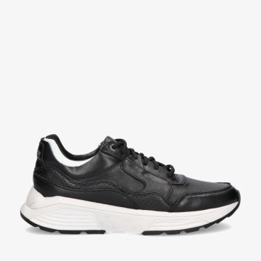 Xsensible GOLDEN GATE 33000.3 003