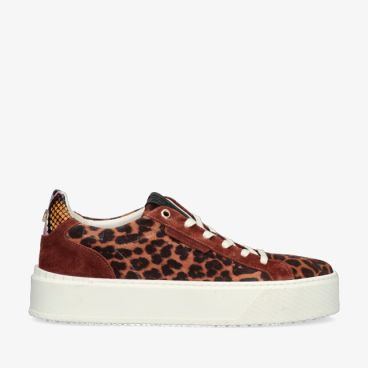 Floris van Bommel WINNI SFW-10106 23-01