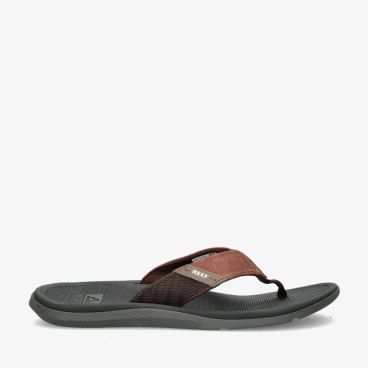 Reef SANTA CI5835