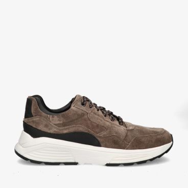 Xsensible GOLDEN GATE 33200.4 501