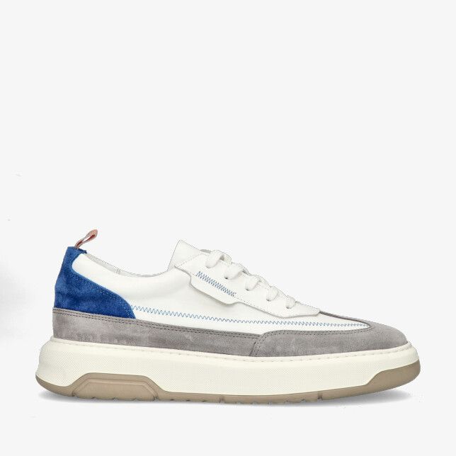 Grijs