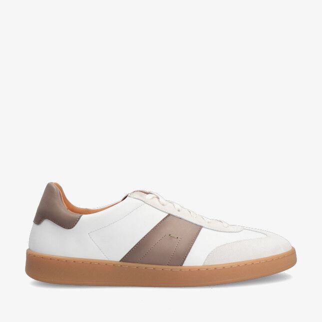 Wit