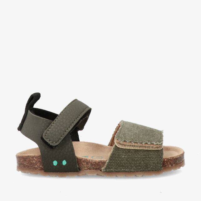 Kaki