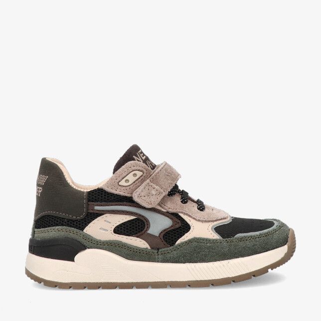Bruin