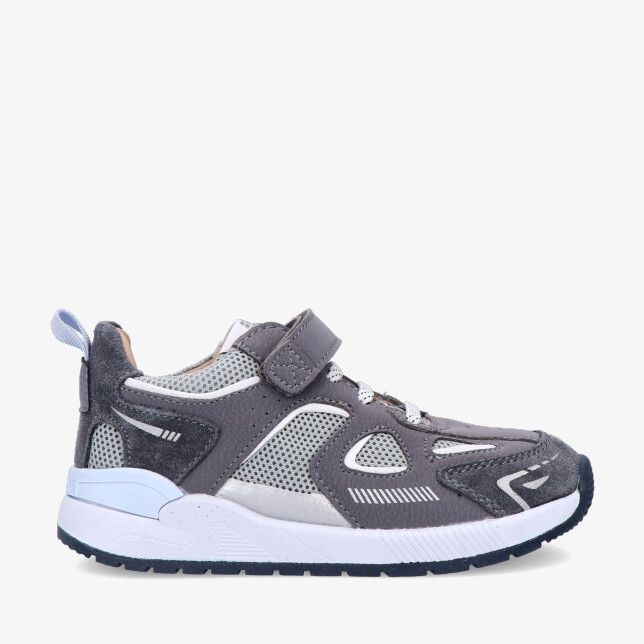 Grijs