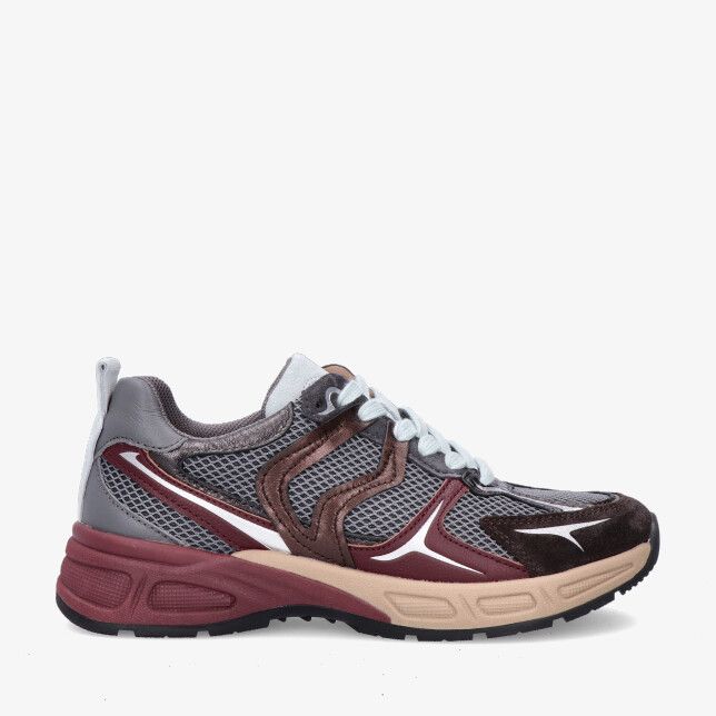 Grijs
