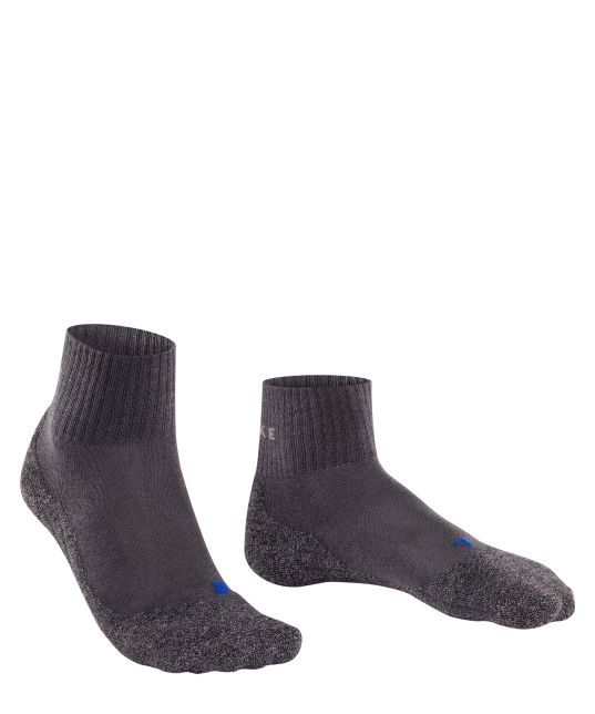 Grijs