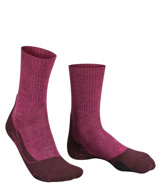 Aubergine