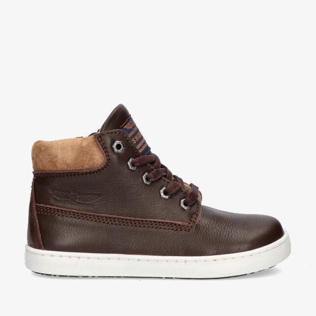 Bruin
