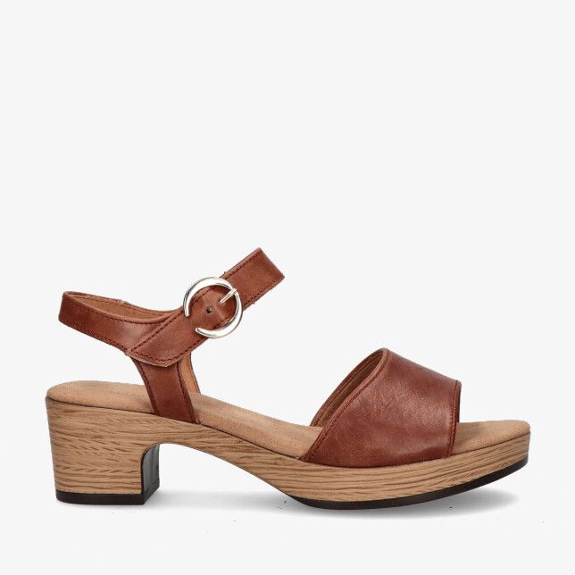 Camel