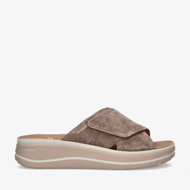 Taupe