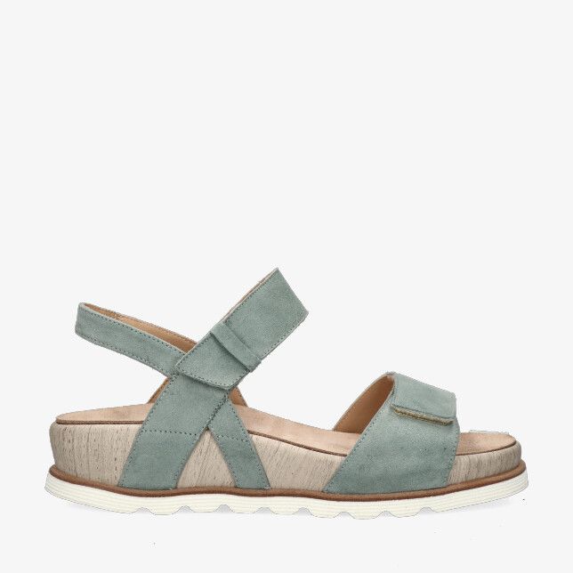 Groen
