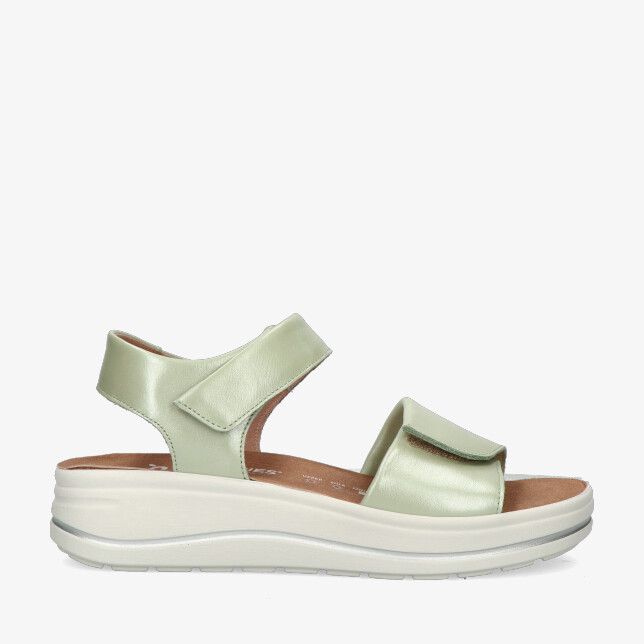 Groen