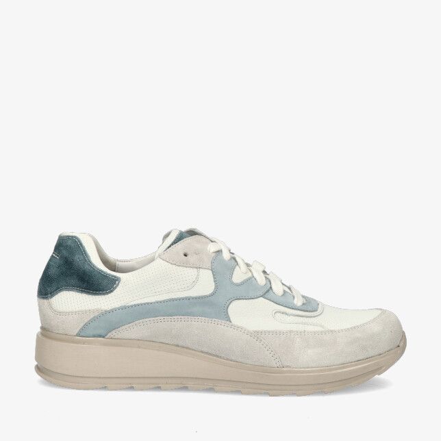 Wit