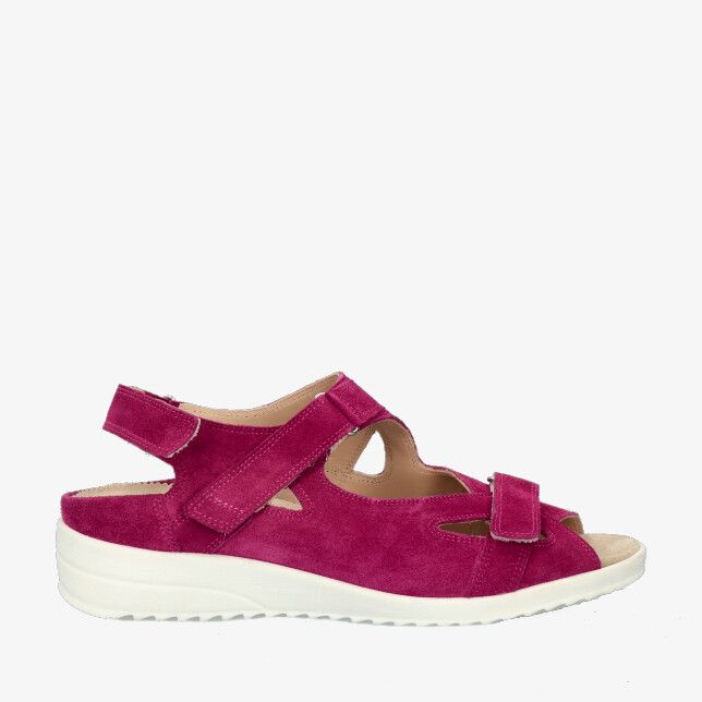 Fuchsia