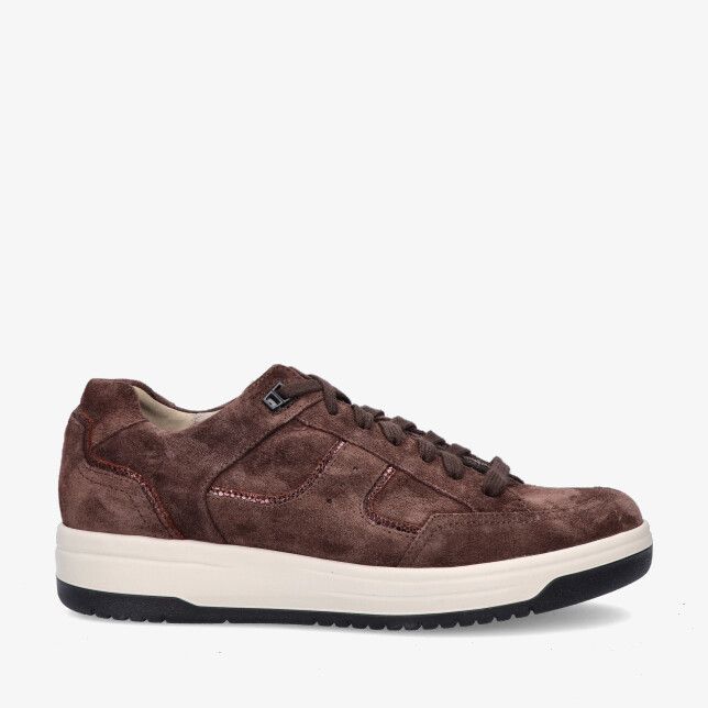 Bruin