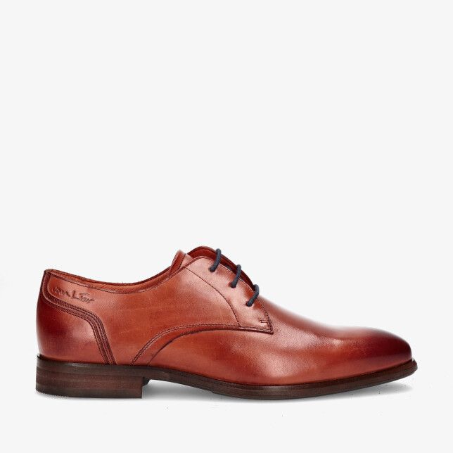 Ontdek de Tijdloze Elegantie van Van Lier Schoenen