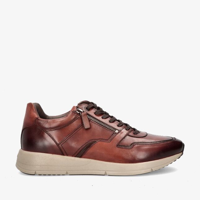 Greve schoenen kopen bij Mister Madame