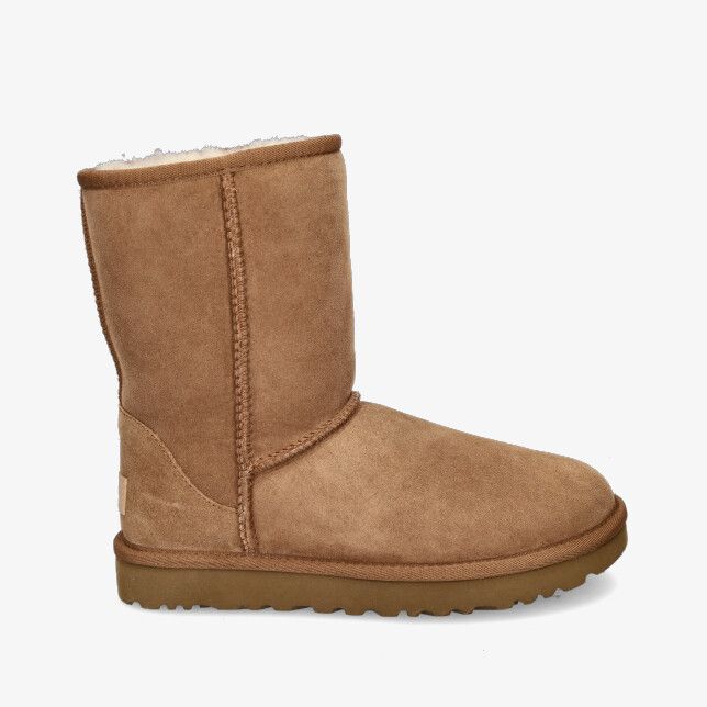 UGG - Mister Madame