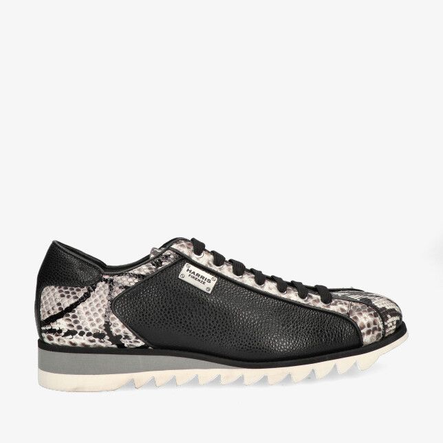 Harris schoenen kopen bij Mister Madame